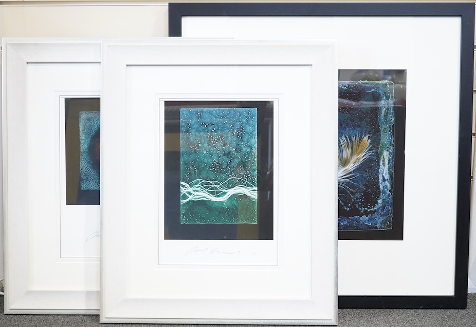 Paul Kenny (b.1951), three abstract photographic prints to include: Study of a feather and one limited edition 1/30, largest 38 x 36cm